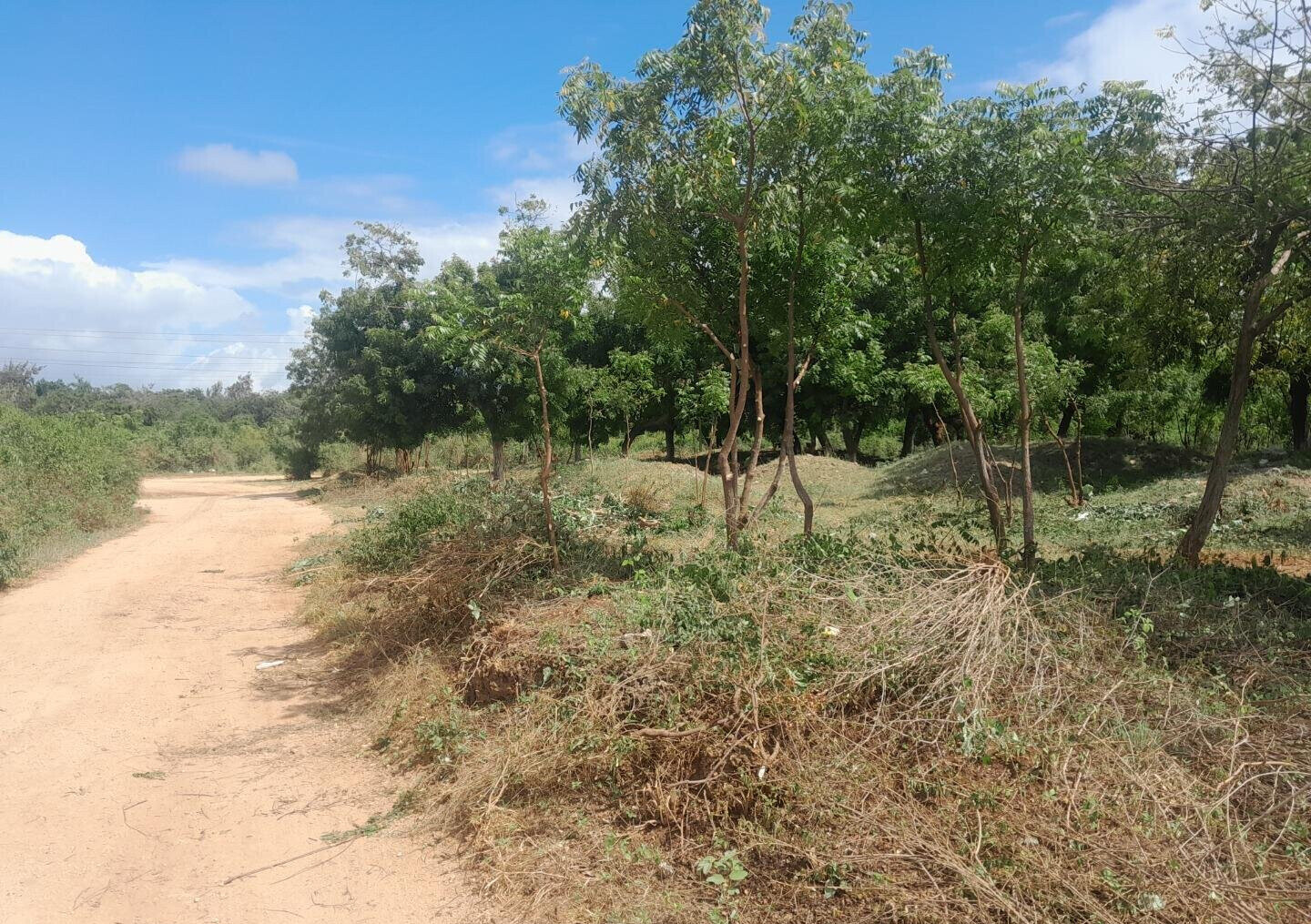 Quarter Acre in Shanzu for KSh 13M