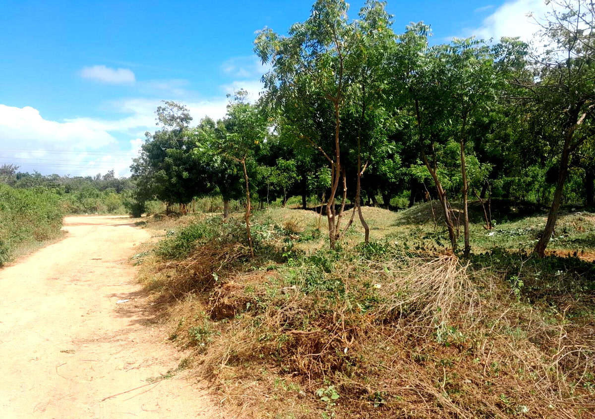 Quarter Acre in Shanzu for KSh 13M