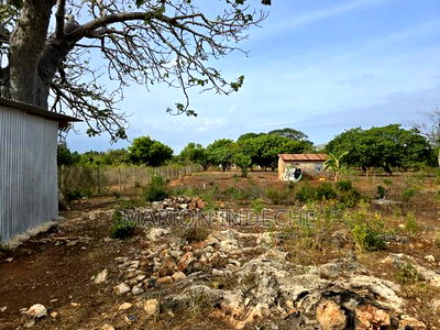 Kilifi Bofa 50x100ft Plots for Sale! - Image 3