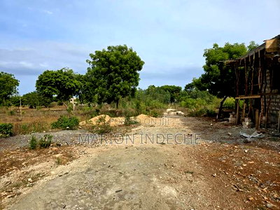 Kilifi Bofa 50x100ft Plots for Sale! - Image 4