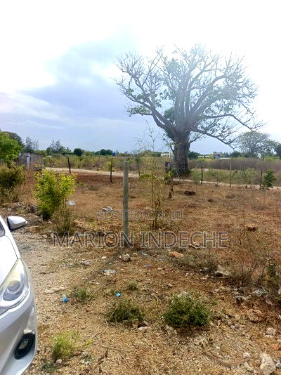 Kilifi Bofa 50x100ft Plots for Sale! - Image 7