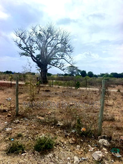 Kilifi Bofa 50x100ft Plots for Sale! - Image 5