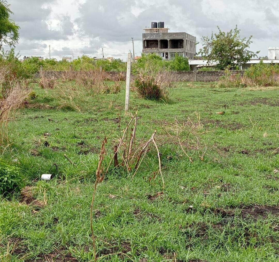 Pet Friendly Quarter Acre in Utange