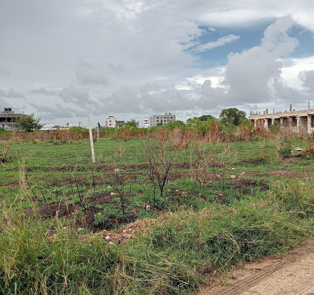 Pet Friendly Quarter Acre in Utange