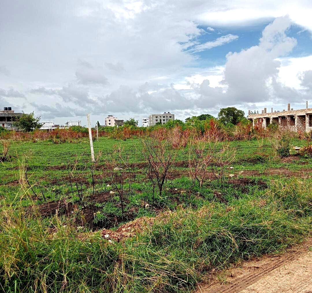 Pet Friendly Quarter Acre in Utange
