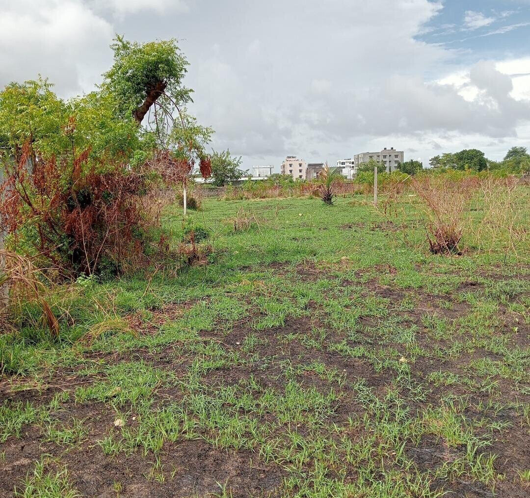 Pet Friendly Quarter Acre in Utange