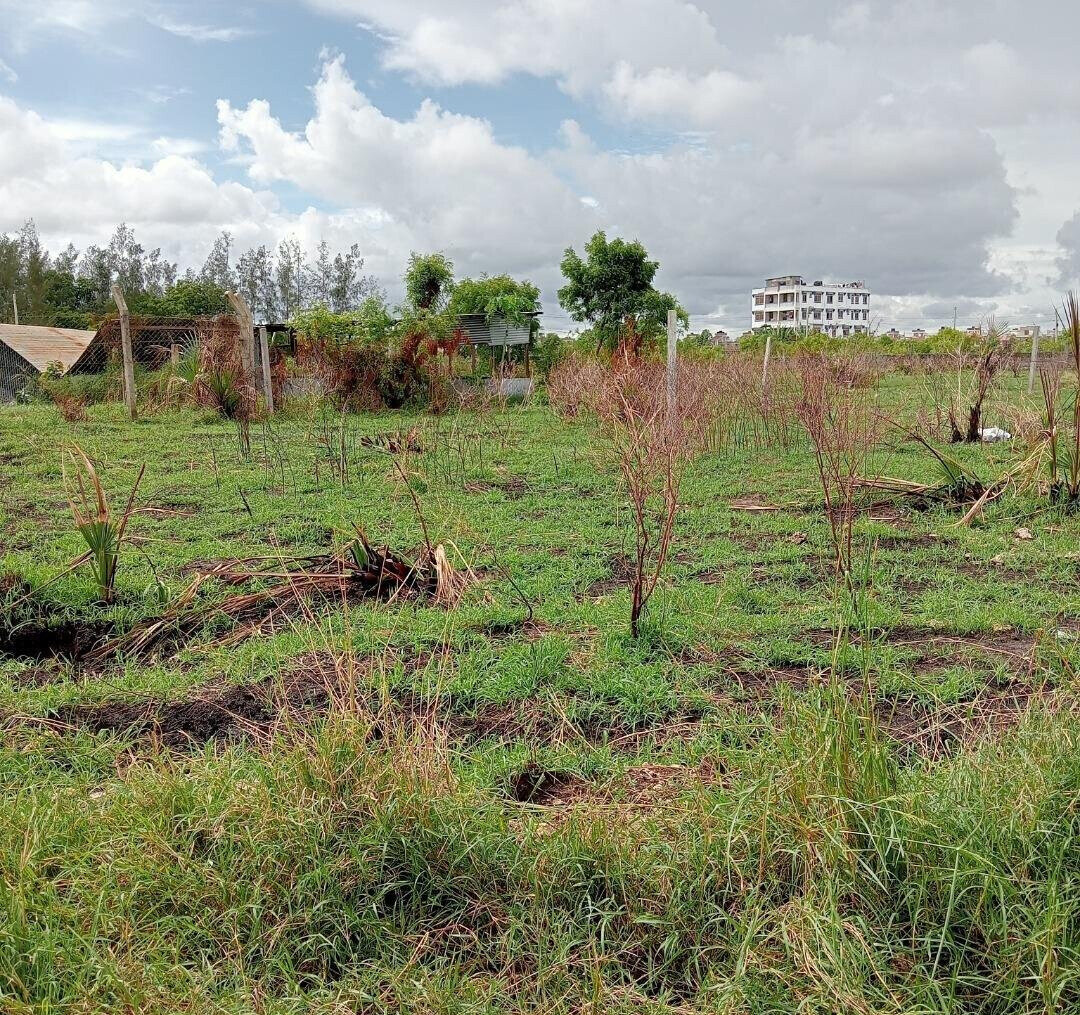 Pet Friendly Quarter Acre in Utange