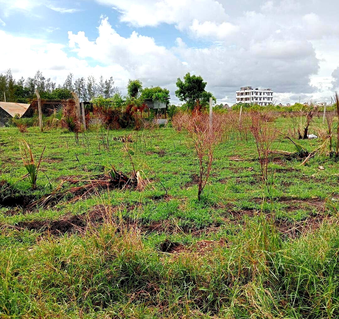 Pet Friendly Quarter Acre in Utange