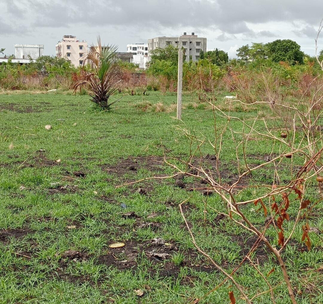 Pet Friendly Quarter Acre in Utange
