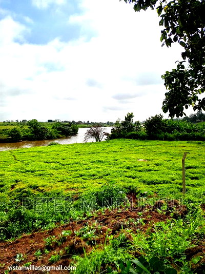 Plot Touching Kiganjo Road, Ruiru - Image 6