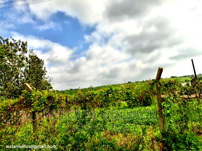 Plot Touching Kiganjo Road, Ruiru - Image 5