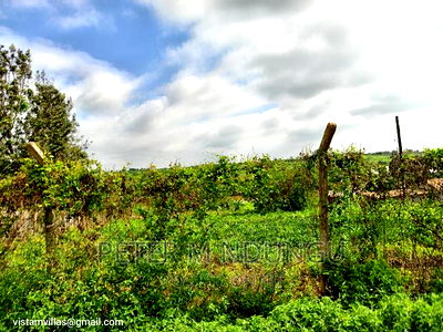 Plot Touching Kiganjo Road, Ruiru - Image 4