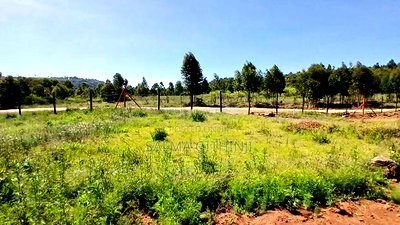 50 By 100ft Plots In A Gated Community In Kikuyu,Nachu - Image 2