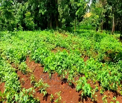 1.25 Acres Kilimani Ngong Rd - Image 2