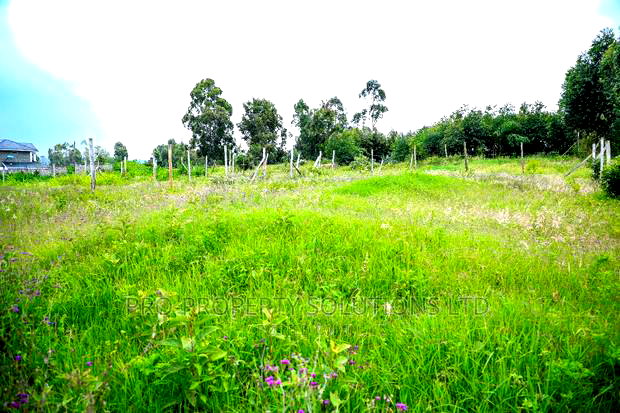 Prime Residential Plot for Sale in Kikuyu, Lusigetti.