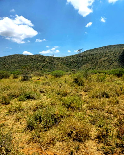 Quarter Acre Garden Plot for KSh 650K