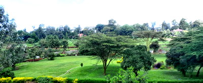 3.75-Acre Commercial Land with Garden