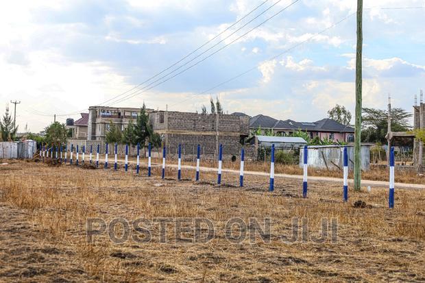 Ready to Build 50*100 in Joska.