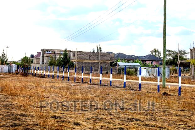 Ready to Build 50*100 in Joska.