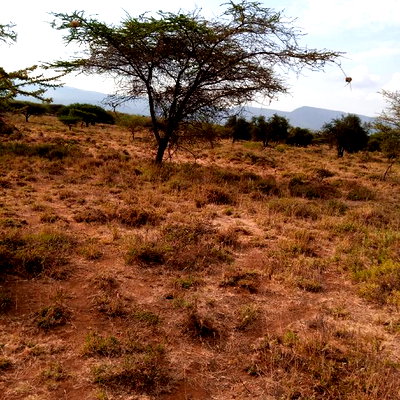 Prime 5 Acres Ewuaso Kedong at 850k - Image 6