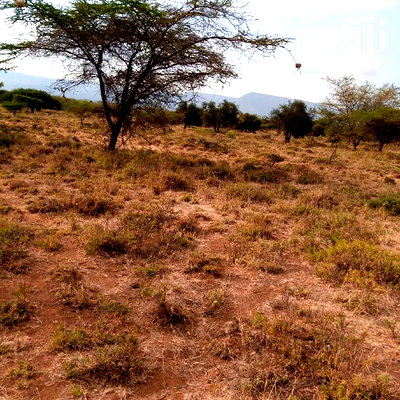 Prime 5 Acres Ewuaso Kedong at 850k - Image 1