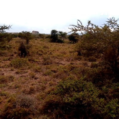 Prime 5 Acres Ewuaso Kedong at 850k - Image 4