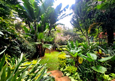 4BR Garden Home at KSh 165K