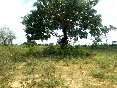 Plot for Sale in Kwale County - Image 1
