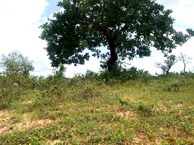 Plot for Sale in Kwale County - Image 4
