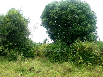 Plot for Sale in Kwale County - Image 2