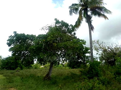 Plot for Sale in Kwale County - Image 3
