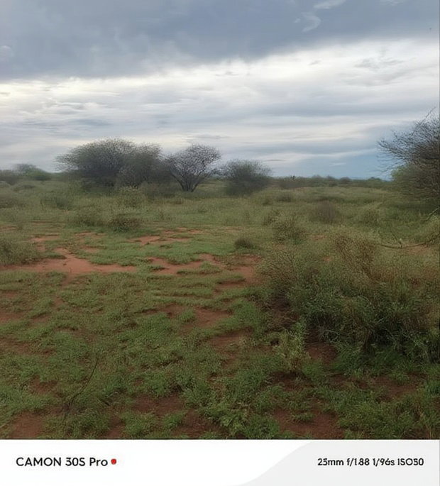 10 Acres 7km Kutoka Kwa Tarmac