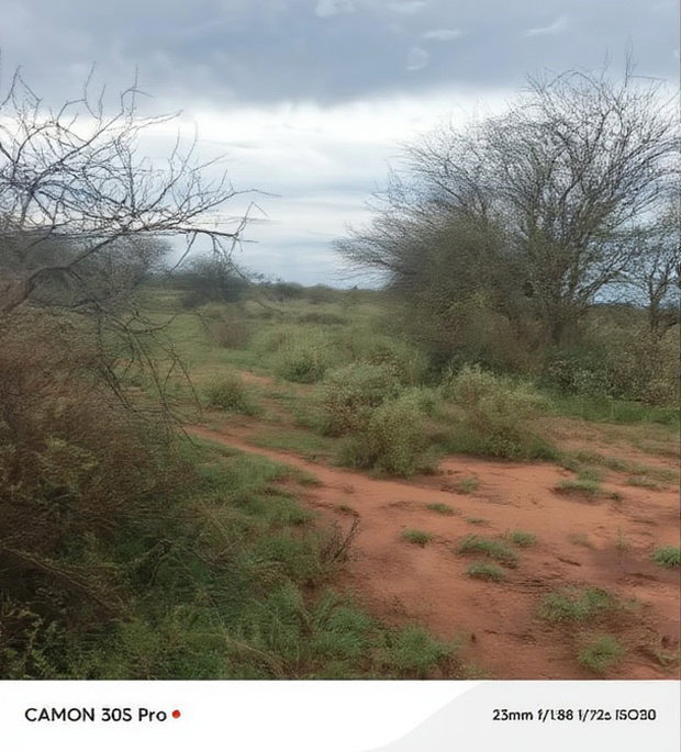 10 Acres 7km Kutoka Kwa Tarmac
