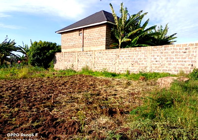1/8 Acre Garden Plot in Ruiru
