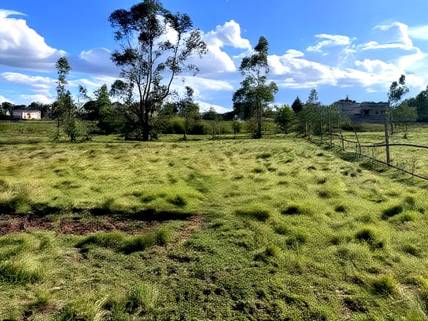 Lucrative Farmland 100 Acres Tigoni Limuru