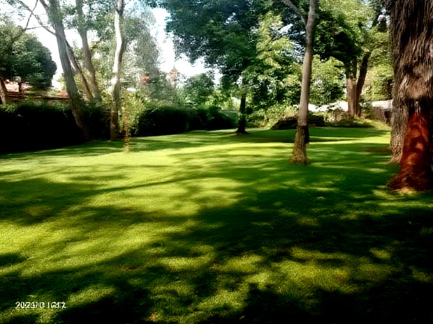 Lucrative Farmland 100 Acres Tigoni Limuru