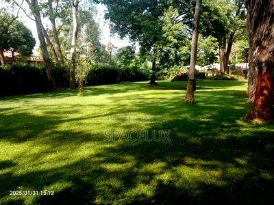 Lucrative Farmland 100 Acres Tigoni Limuru - Image 2