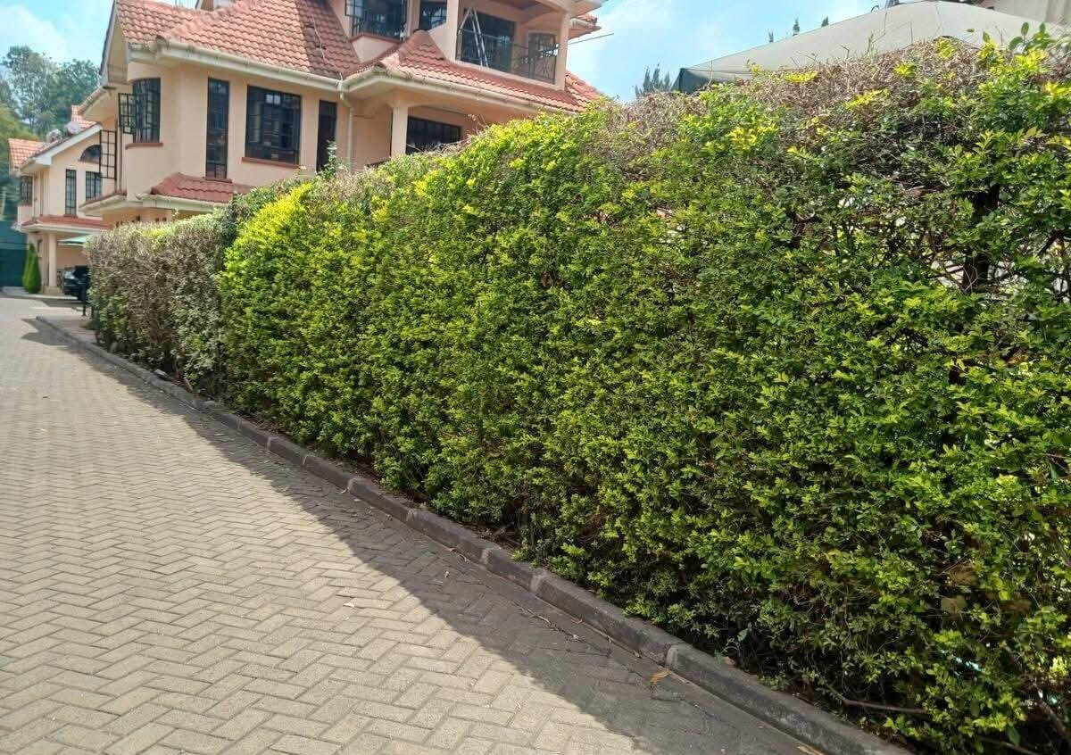 5-Ensuite Townhouse with Servant Quarters & Generator - Lavington