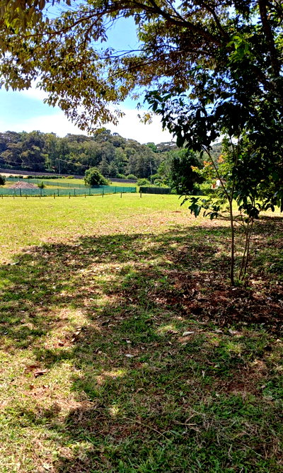 11-Acre Karen Gem at KSh 100M