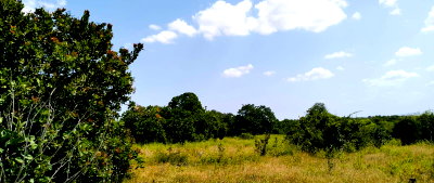 201.6-Acre Farm in Kilifi