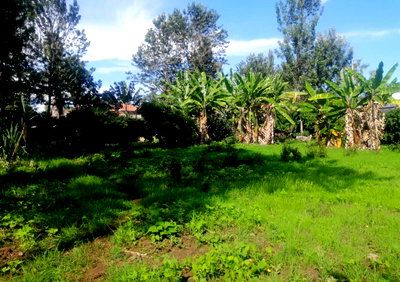 Half Acre Garden Plot with Parking - KSh 30M