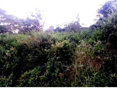 21 Acre Land Kwa Vonza,Kitui - Image 2