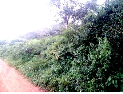 21 Acre Land Kwa Vonza,Kitui - Image 1