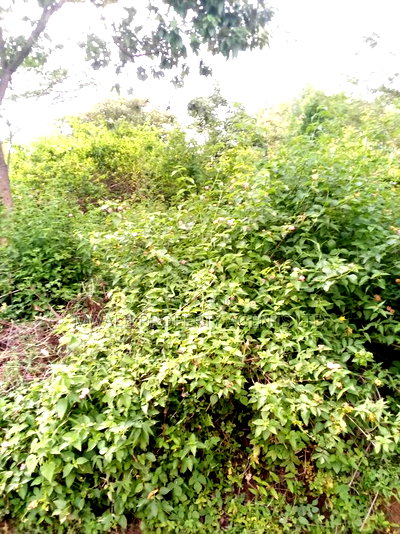 Ideal 3.5 Acres Mutendea Kitui - Image 1