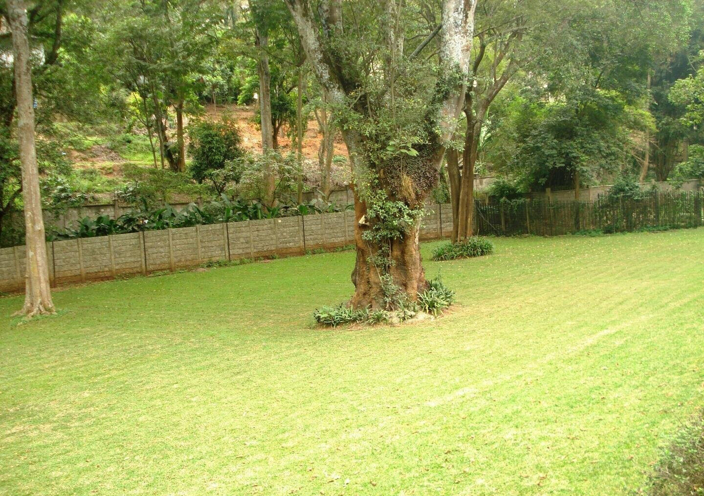 50x100 Plot 4BR Haven for KSh 520K