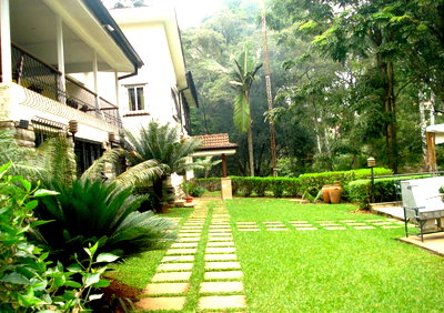 50x100 Plot 4BR Haven for KSh 520K