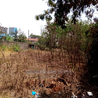 115 by 100 Corner Plot for Sale at Githurai 45 - Image 2