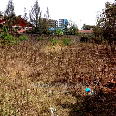 115 by 100 Corner Plot for Sale at Githurai 45 - Image 5