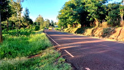 Sabasaba 3 Acres on Sale - Image 3