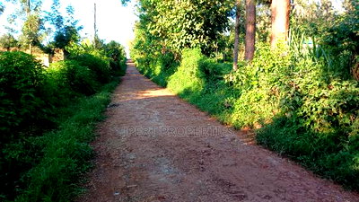 Sabasaba 3 Acres on Sale - Image 4